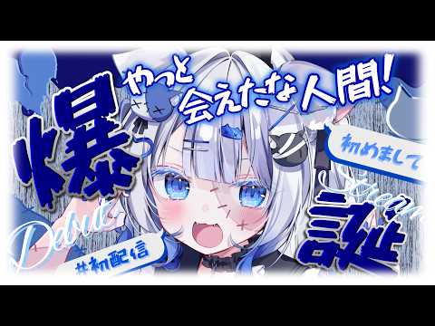 初配信:絶叫かぷぅ